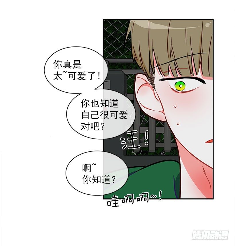 和我打一架吧！-第12话