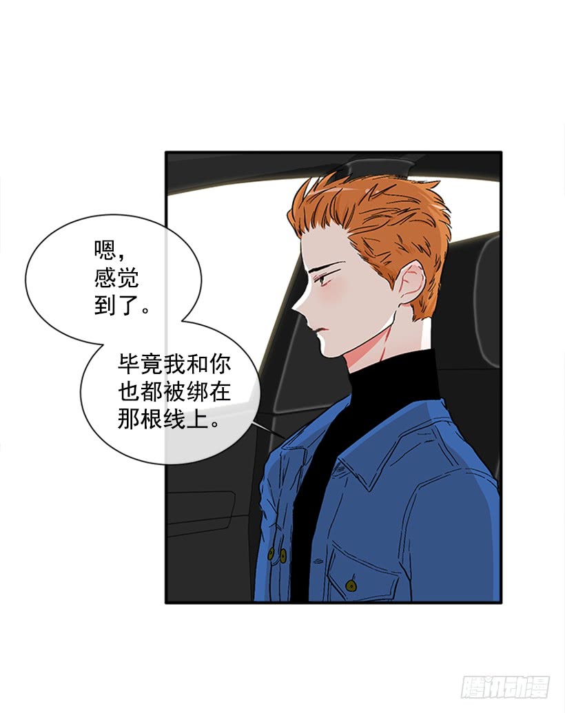 130.家猫和流浪猫-第130话