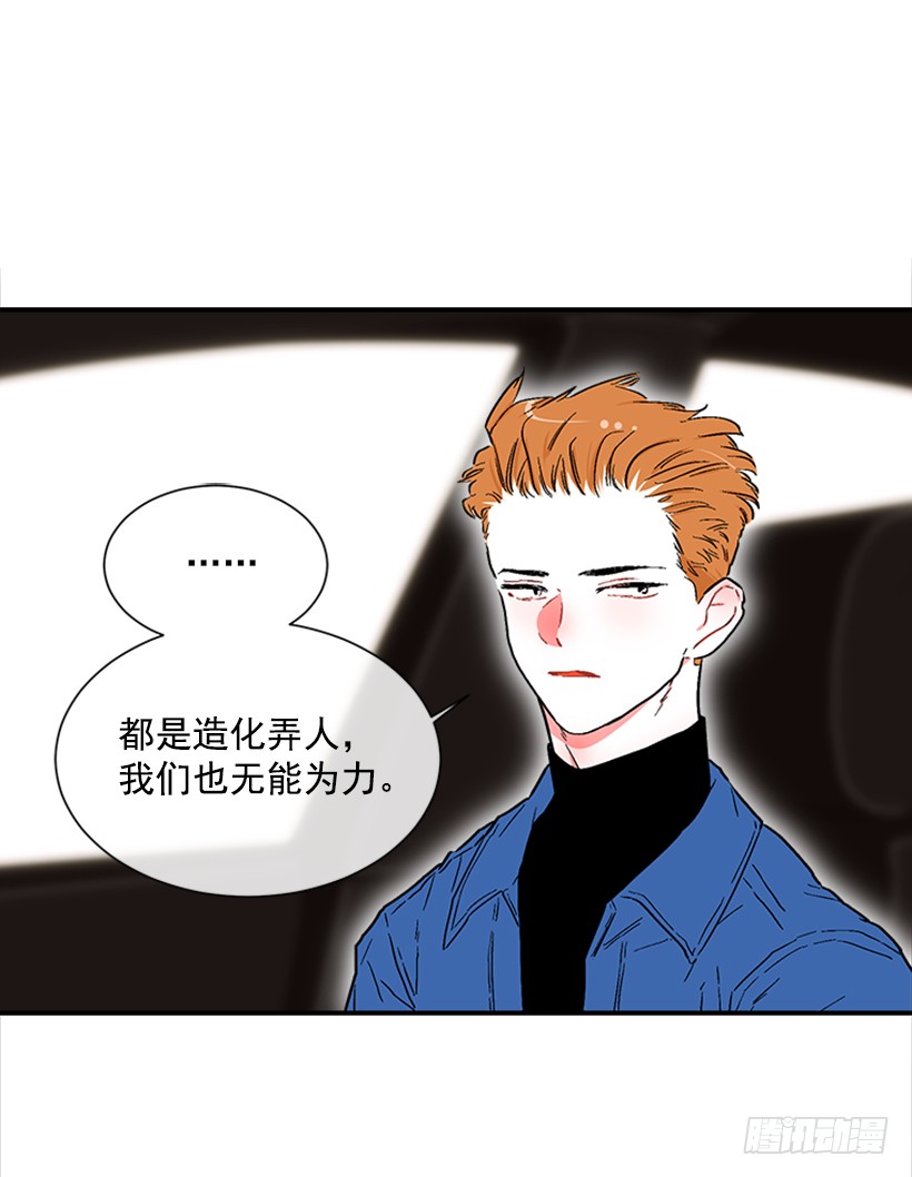 130.家猫和流浪猫-第130话