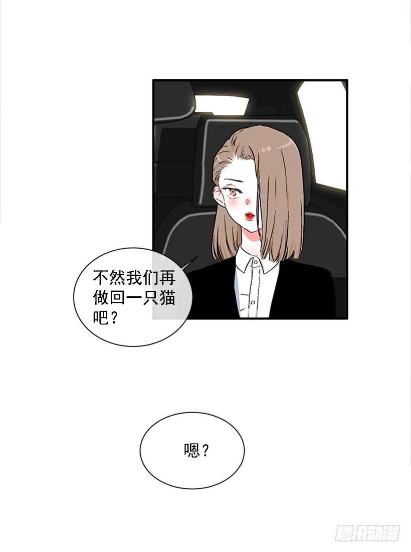 130.家猫和流浪猫-第130话