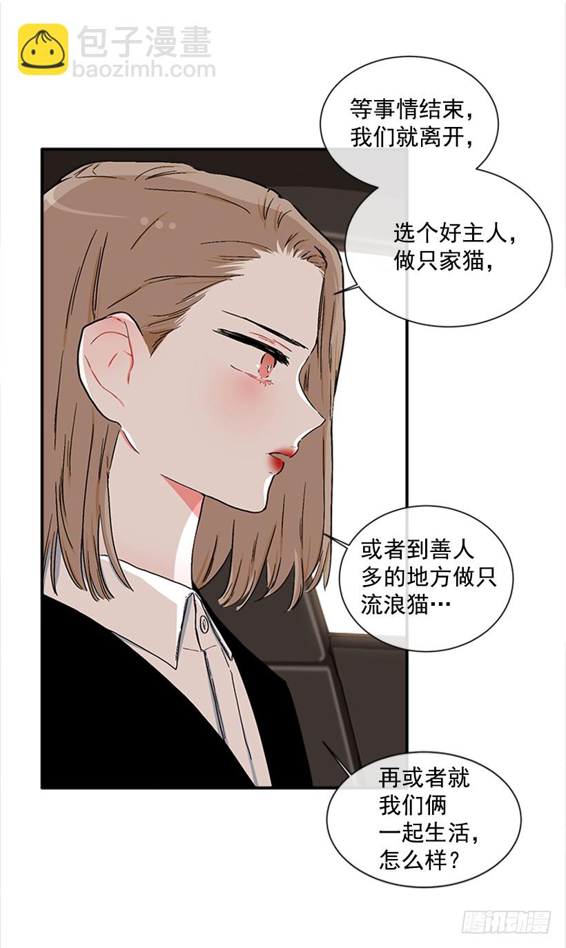 130.家猫和流浪猫-第130话
