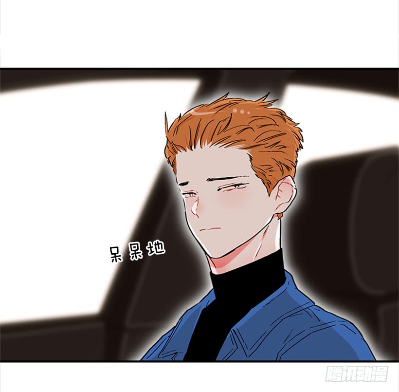 130.家猫和流浪猫-第130话