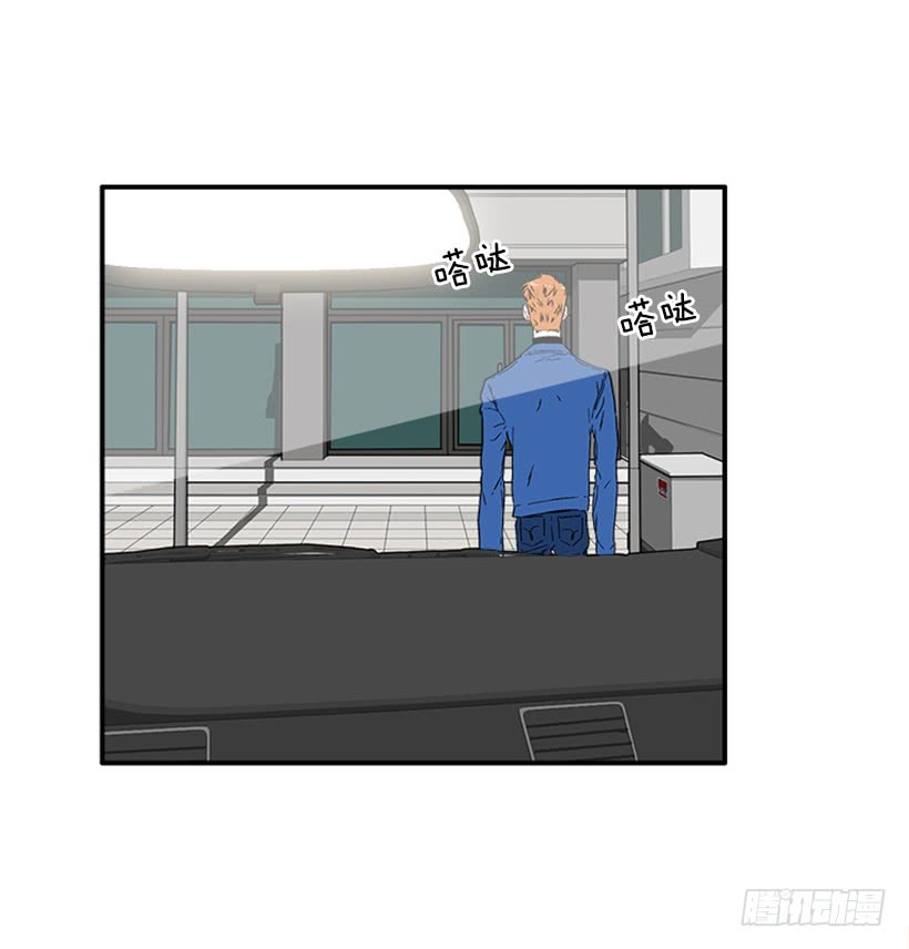 130.家猫和流浪猫-第130话