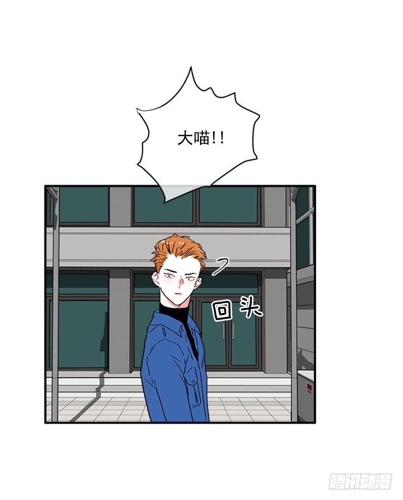 130.家猫和流浪猫-第130话