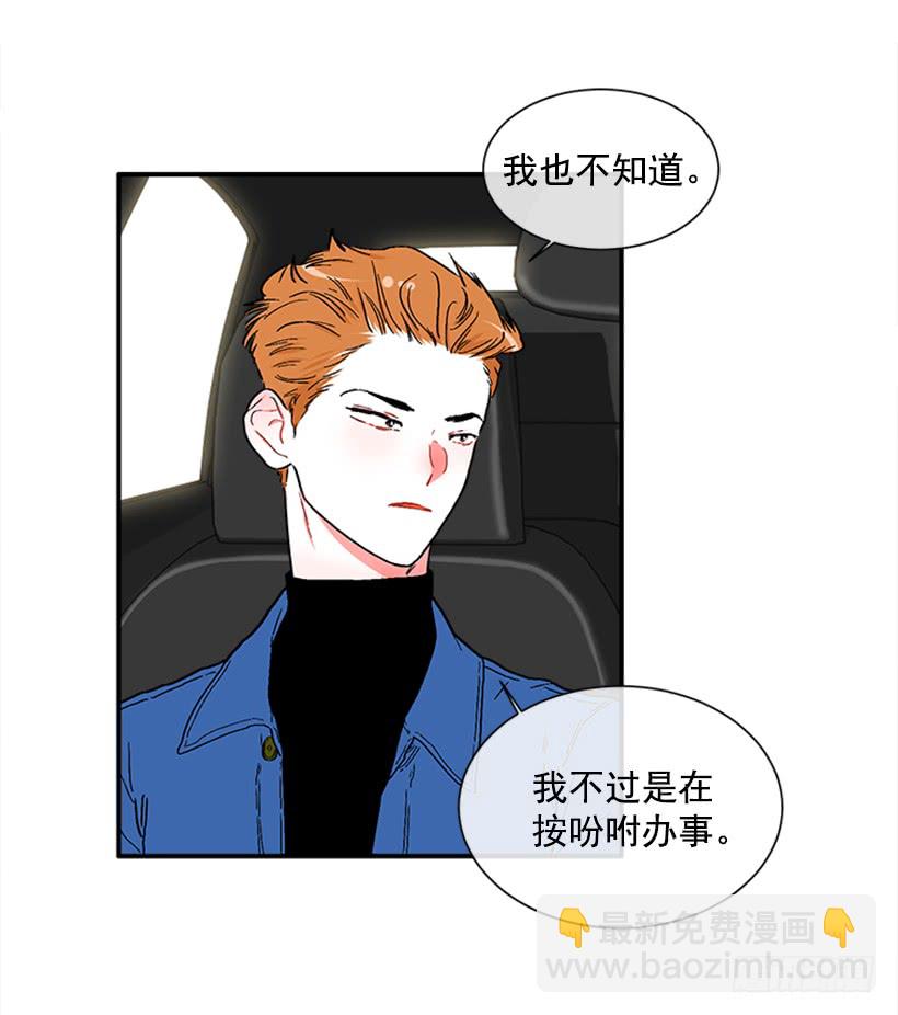 130.家猫和流浪猫-第130话