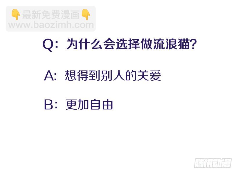 130.家猫和流浪猫-第130话