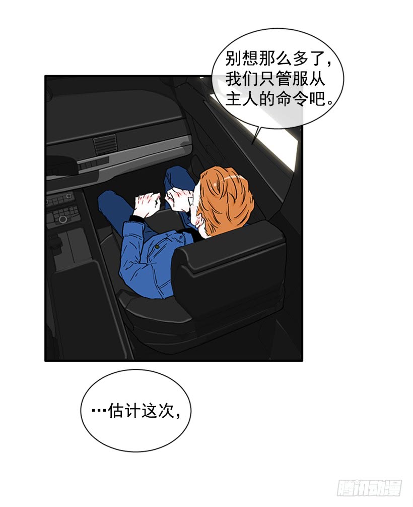 130.家猫和流浪猫-第130话