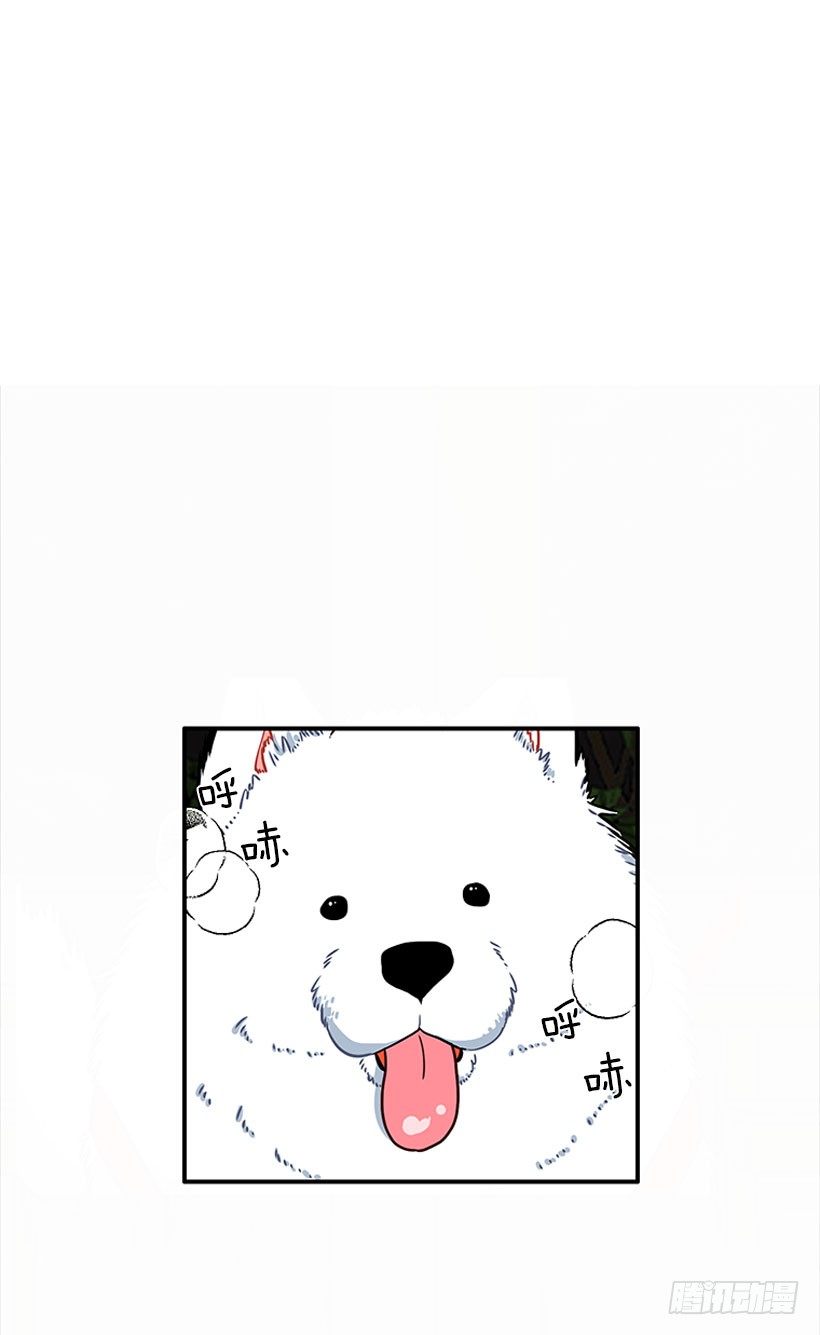 砰砰啪啪-第14话