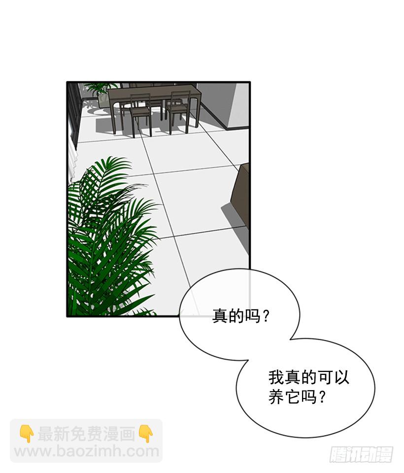 137.大喵-第136话