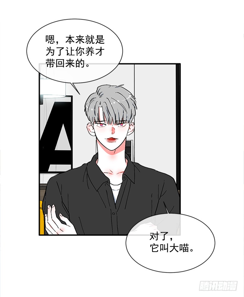 137.大喵-第136话