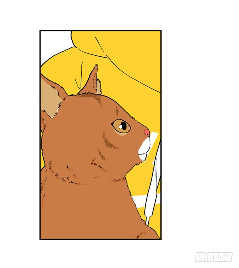 137.大喵-第136话