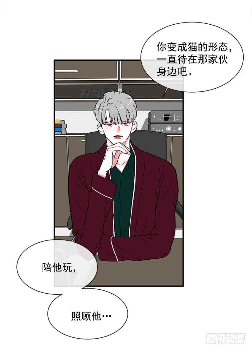 137.大喵-第136话