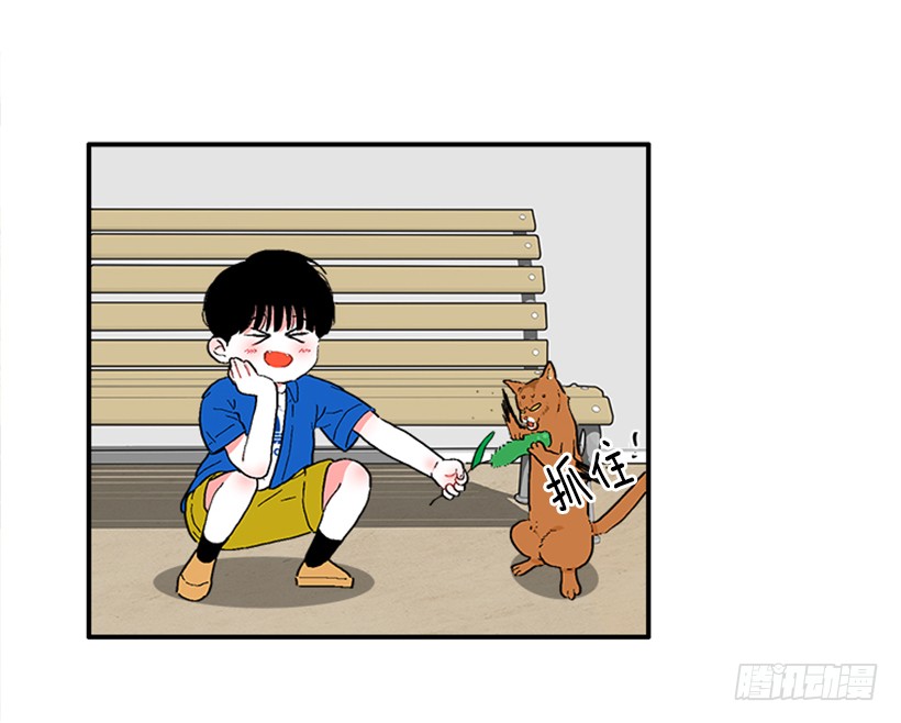 137.大喵-第136话