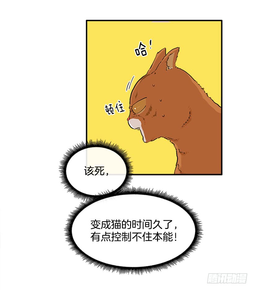 137.大喵-第136话