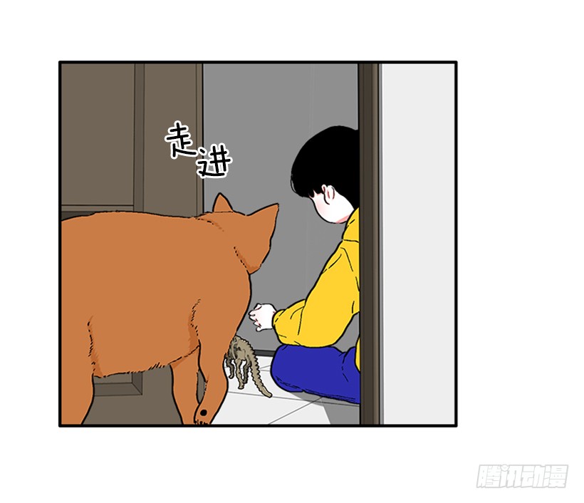 137.大喵-第136话