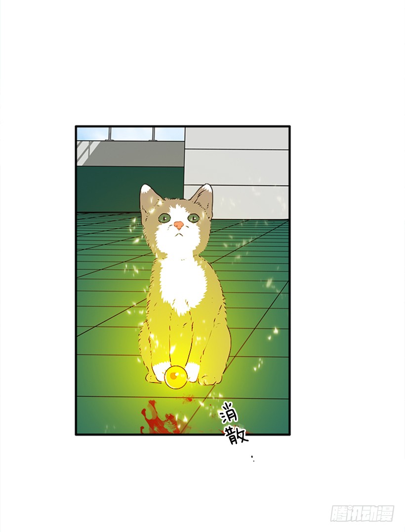 139.拼死相救(1/2)-第138话