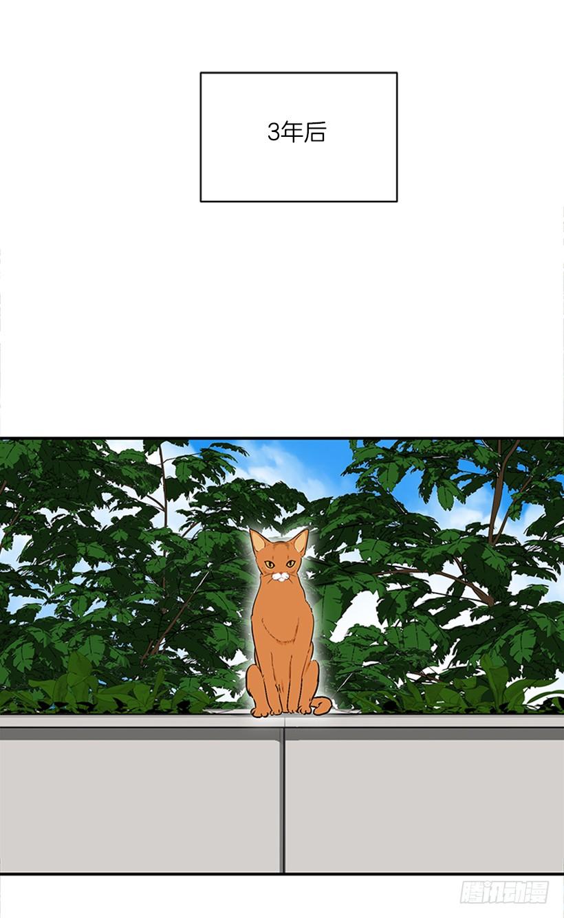 160.崭新的一天开始了(1/2)-第158话