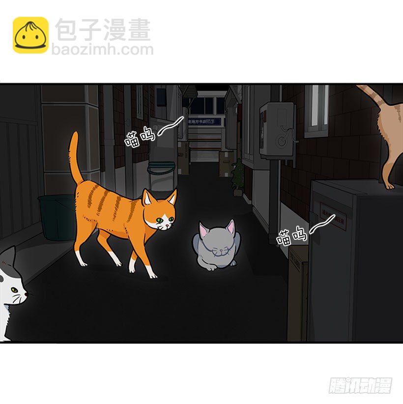 真正的原因(1/2)-第22话