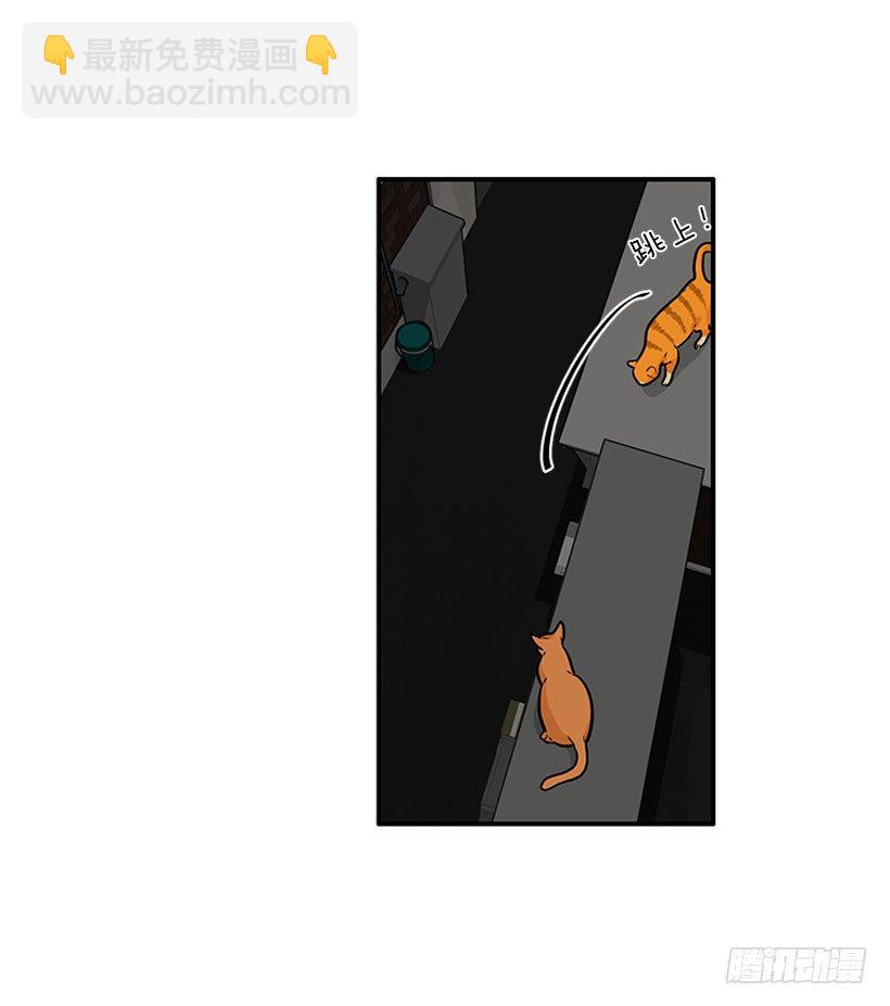 真正的原因(1/2)-第22话