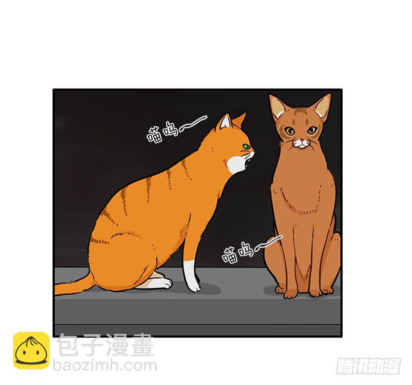 真正的原因(1/2)-第22话