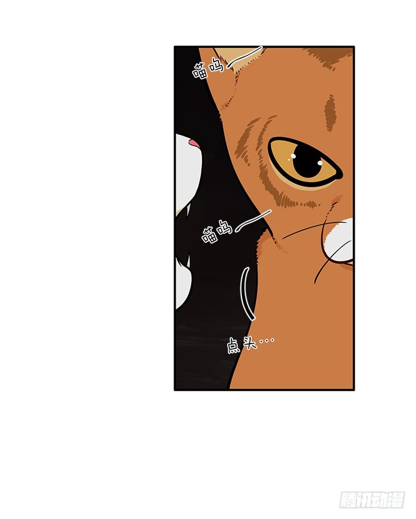 真正的原因(1/2)-第22话