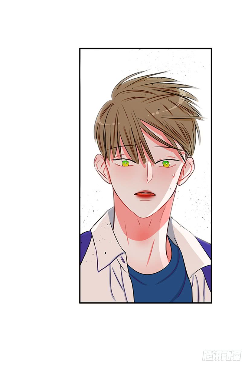 猫妈妈出场了-第46话