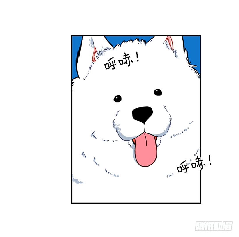 嘿嘿嘿&hellip;-第74话