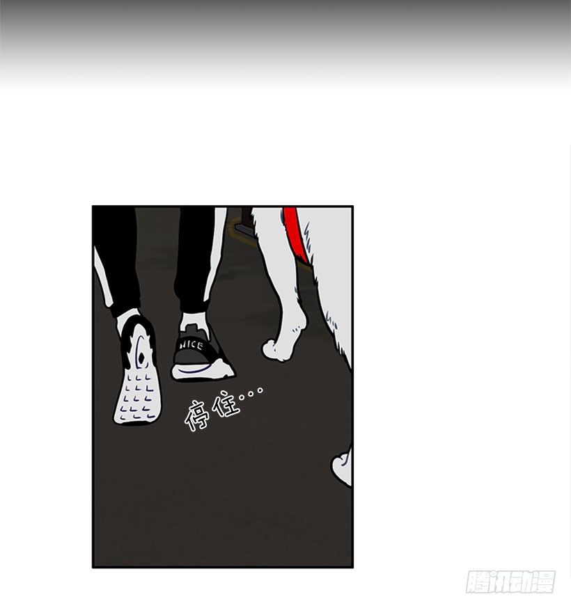 信息(1/2)-第10话