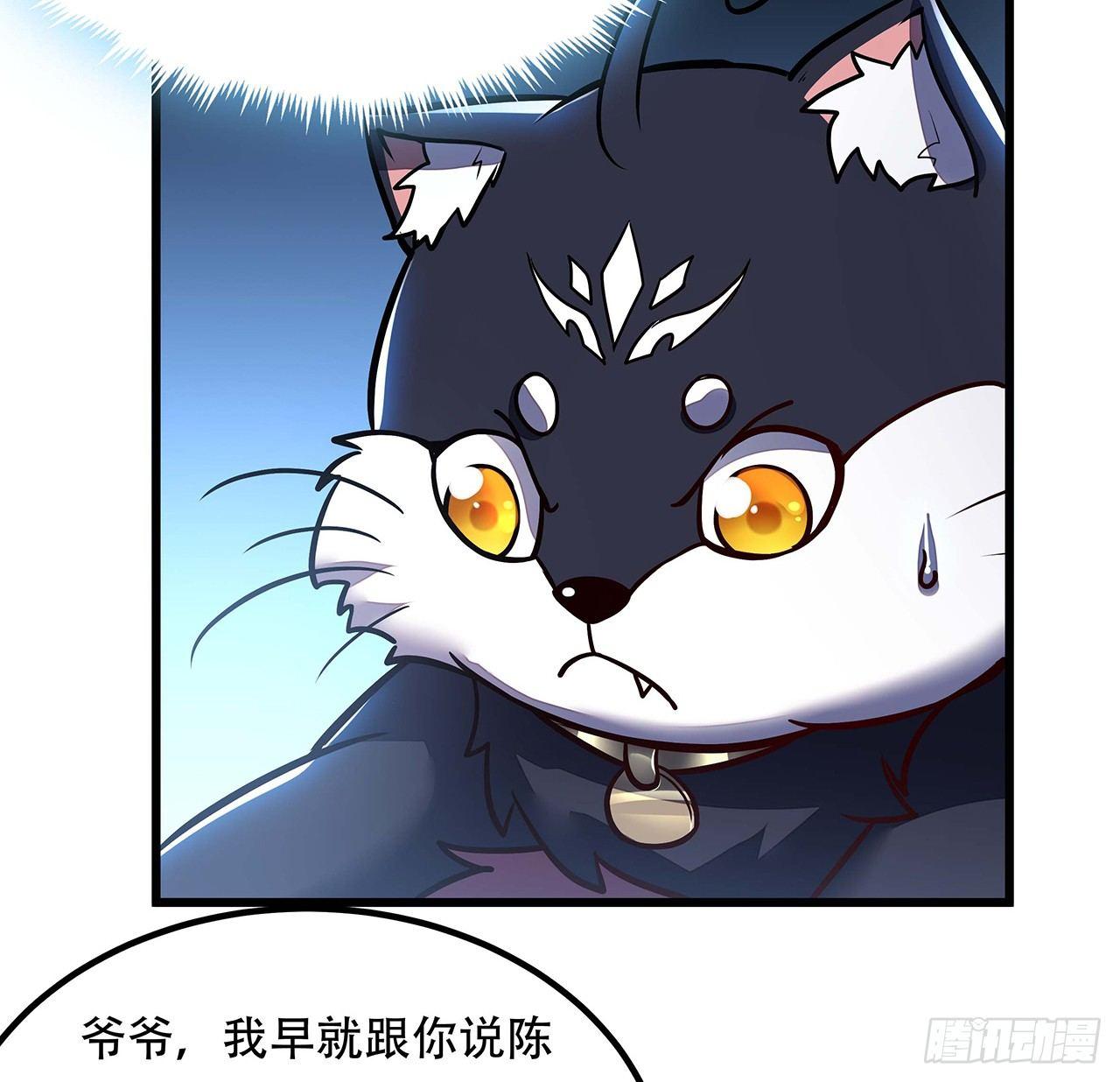 36话 真假鉴定(1/2)-第36话