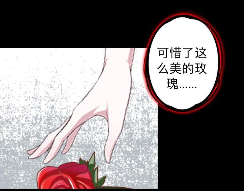 第18话 神秘的&ldquo;诱惑之森&rdquo;！(1/3)-第18话