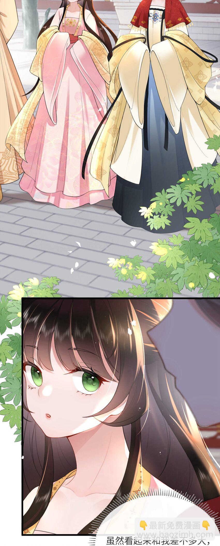 第四话 绣面芙蓉一笑开-第4话