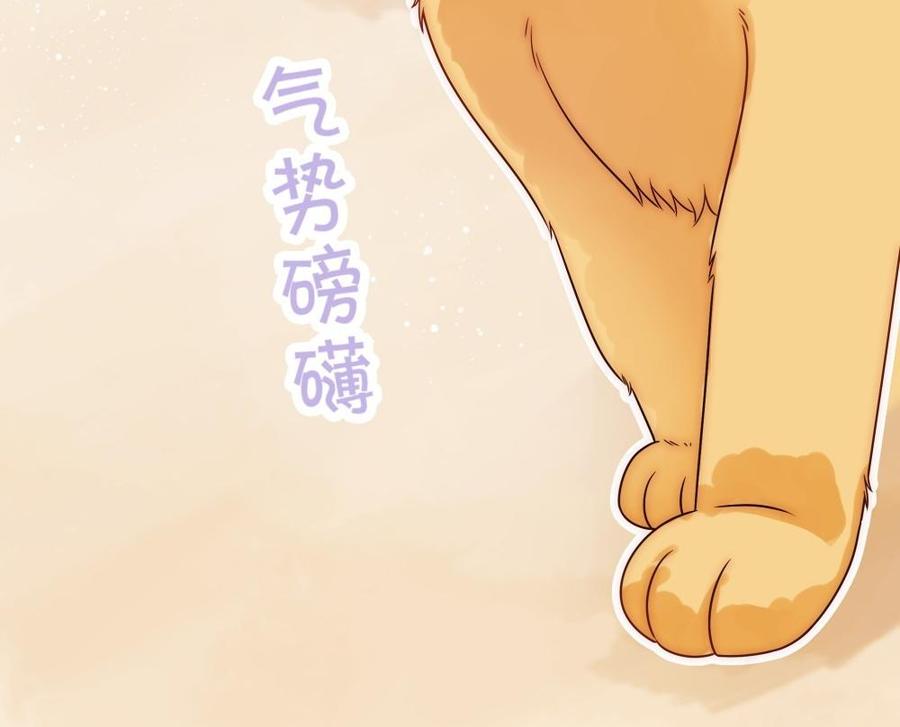 不裝我可能會死 - 第49話 大型屠狗現場(1/4) - 6