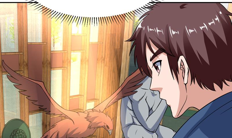 第135话 果然不出所料-第134话