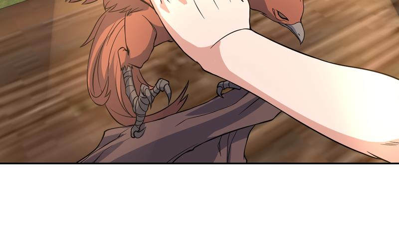 第135话 果然不出所料-第134话