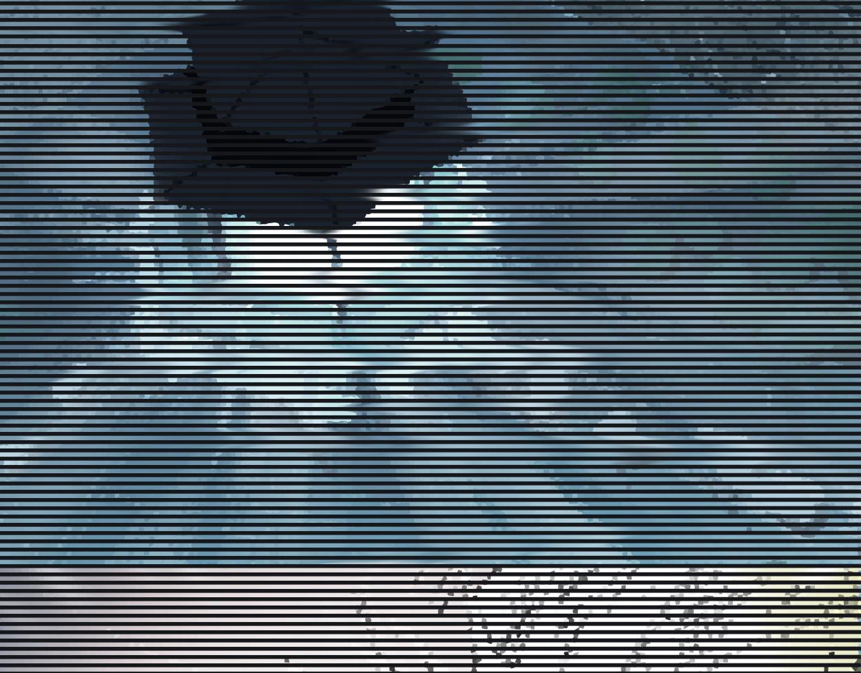 九星紫昙花&middot;一(1/2)-第2话