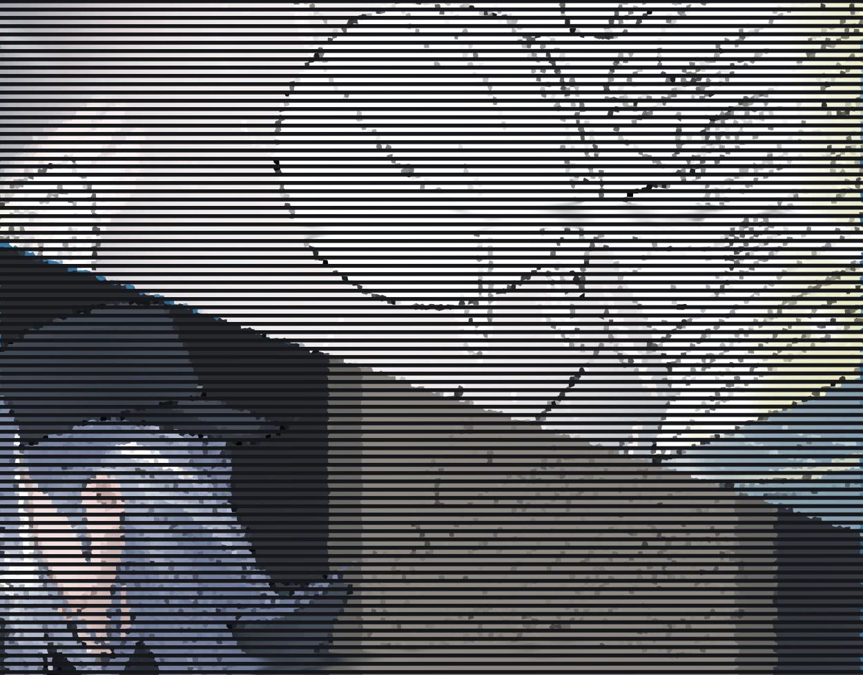 九星紫昙花&middot;一(1/2)-第2话