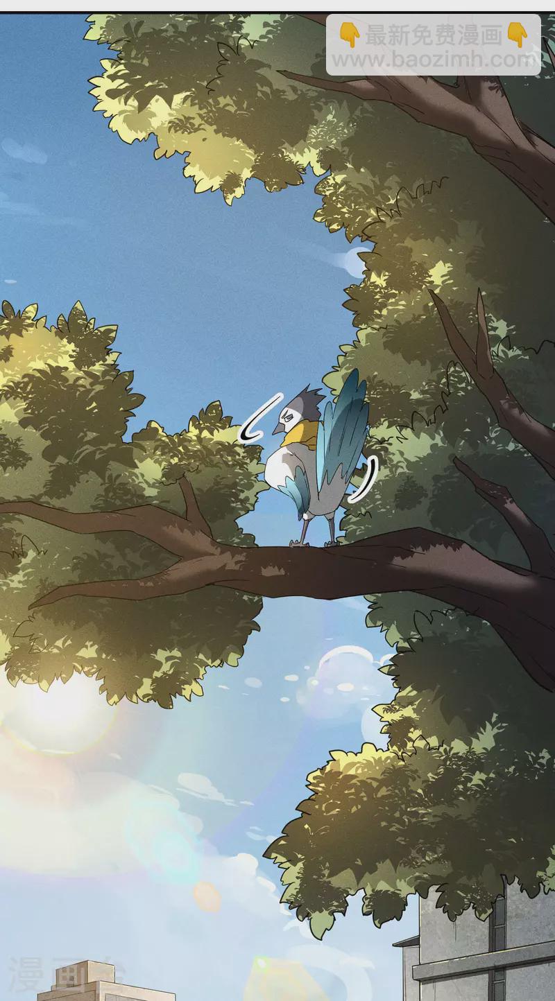 第38话 身法训练(1/2)-第42话