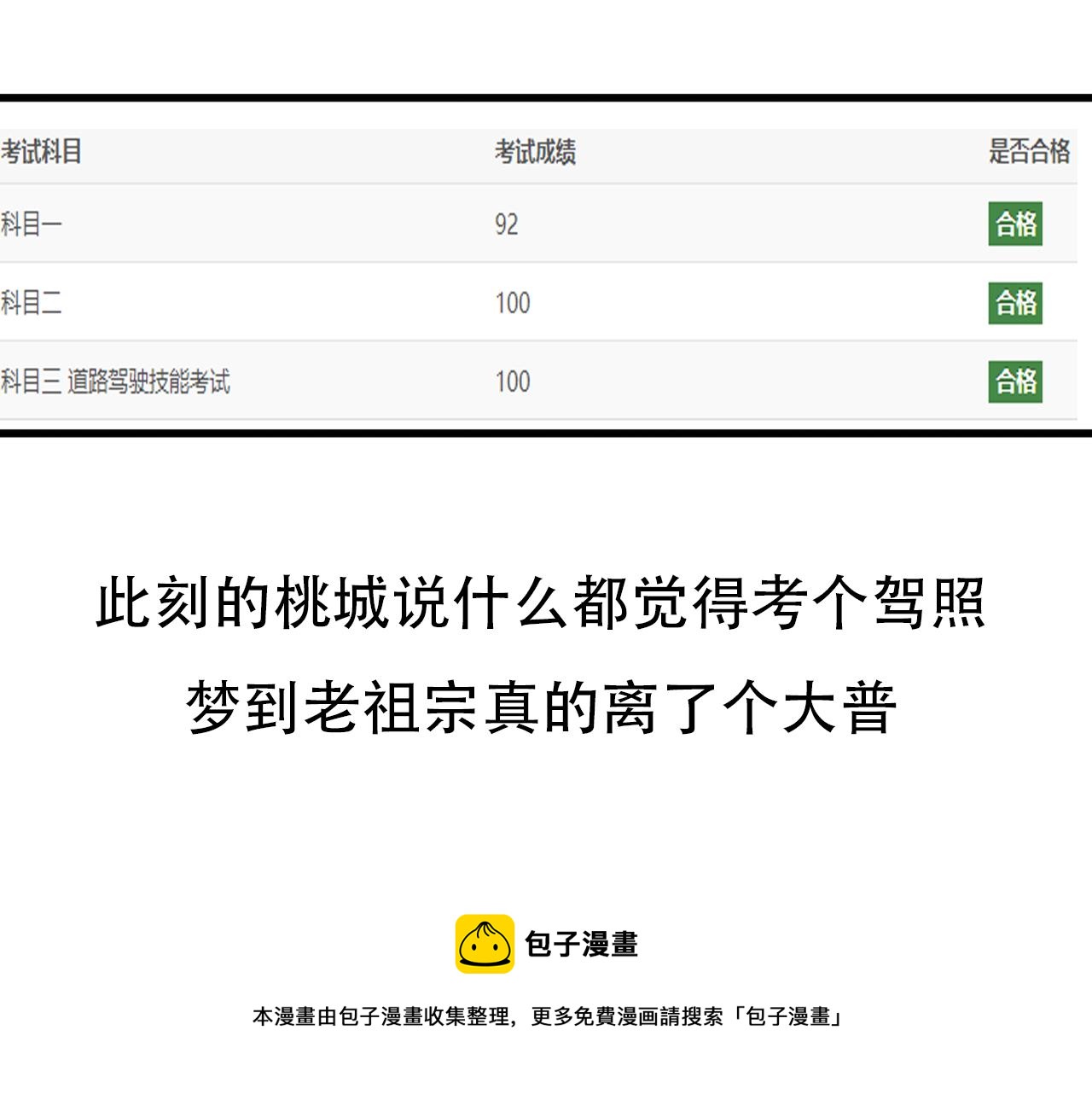 桃城学车记(1/2)-第14话