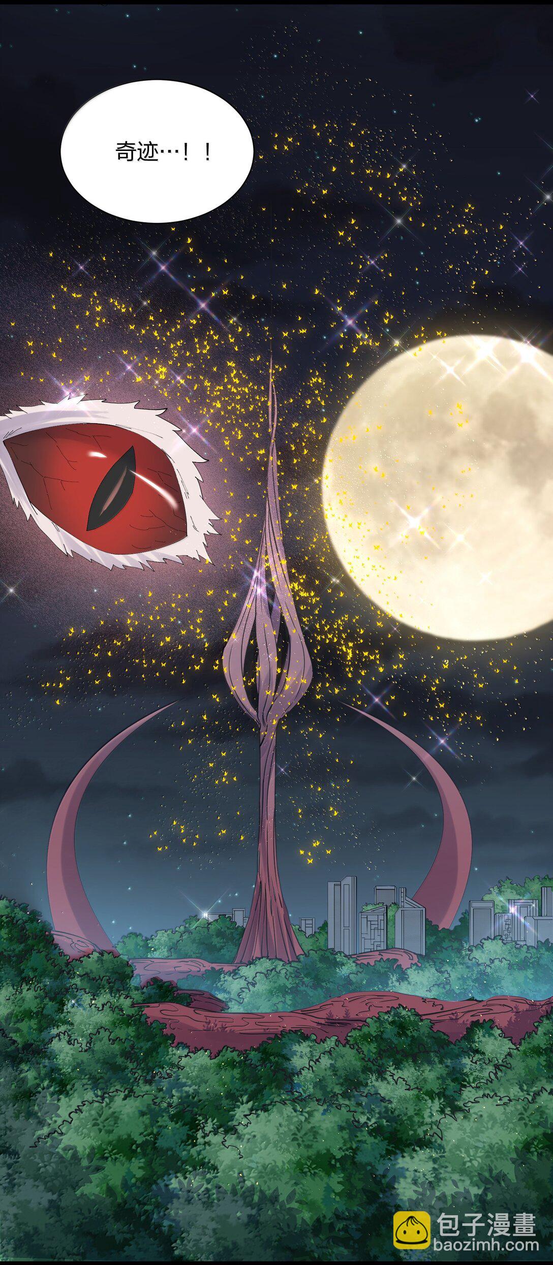 81 奇迹再现(1/2)-第82话