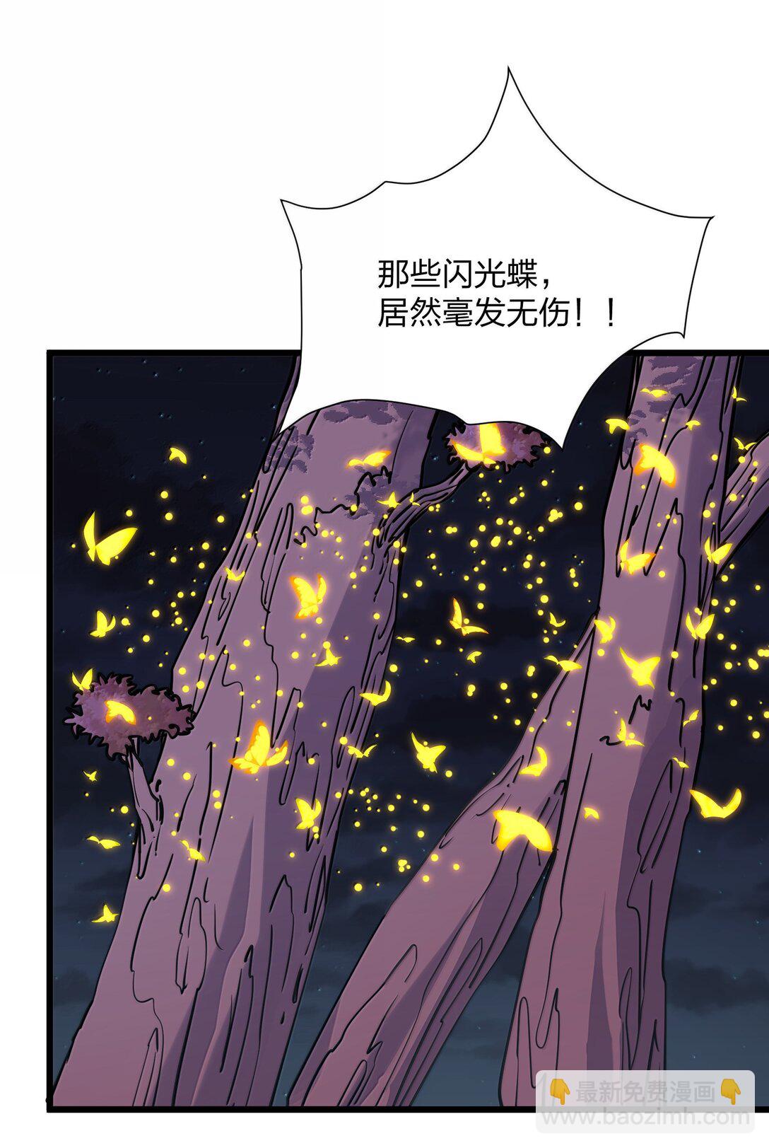 81 奇迹再现(1/2)-第82话