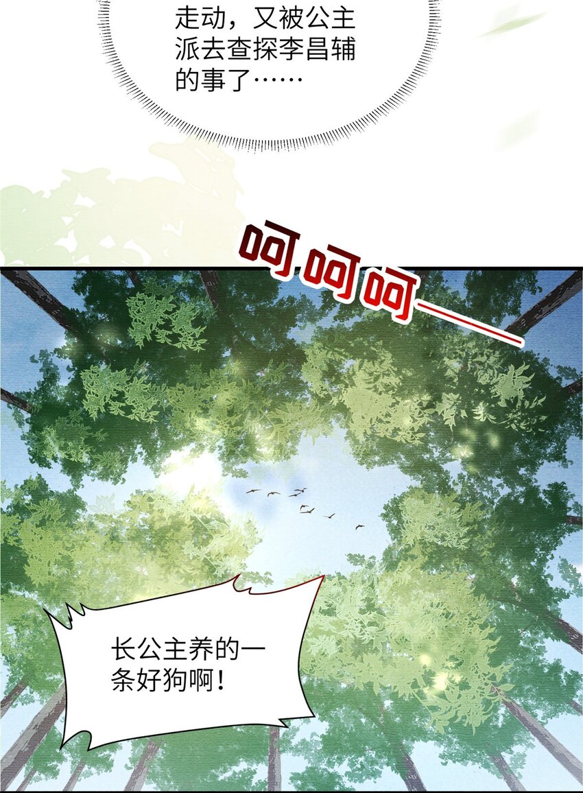 長公主她每天都想造反 - 087 公主遇刺 - 4