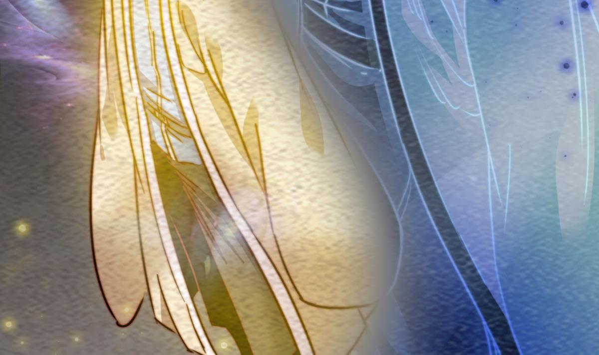 第222话 大结局(1/2)-第222话