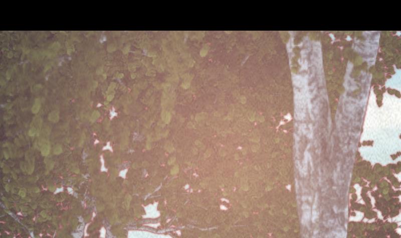 第32话 下葬(1/2)-第32话