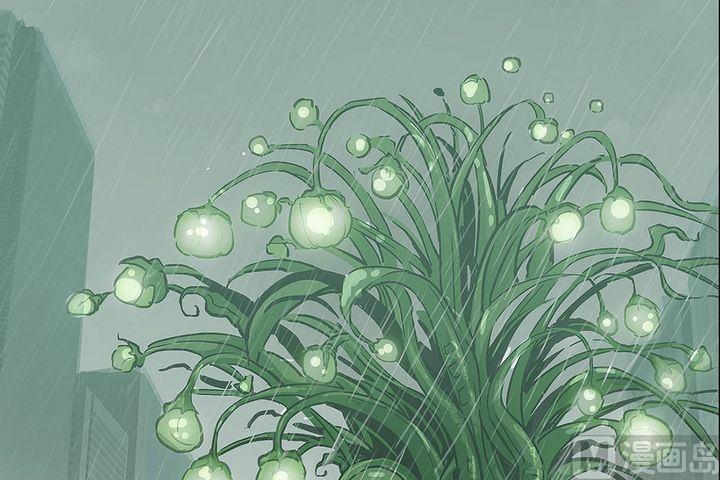 第9话 向火而生的佐罗(1/5)-第10话