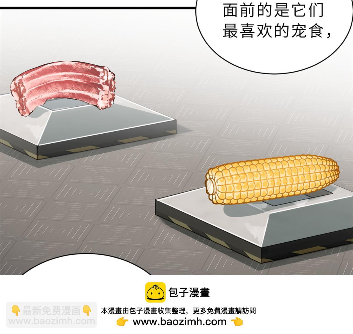 超神寵獸店 - 116 鬥獸(1/3) - 2