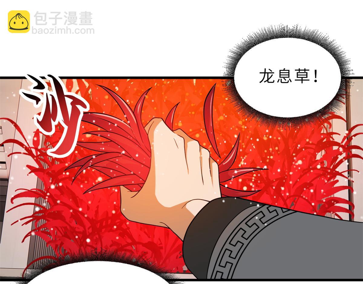 超神寵獸店 - 116 鬥獸(2/3) - 1