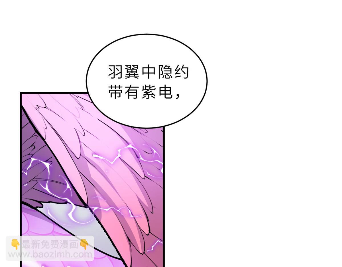 超神寵獸店 - 132 評分(2/3) - 7