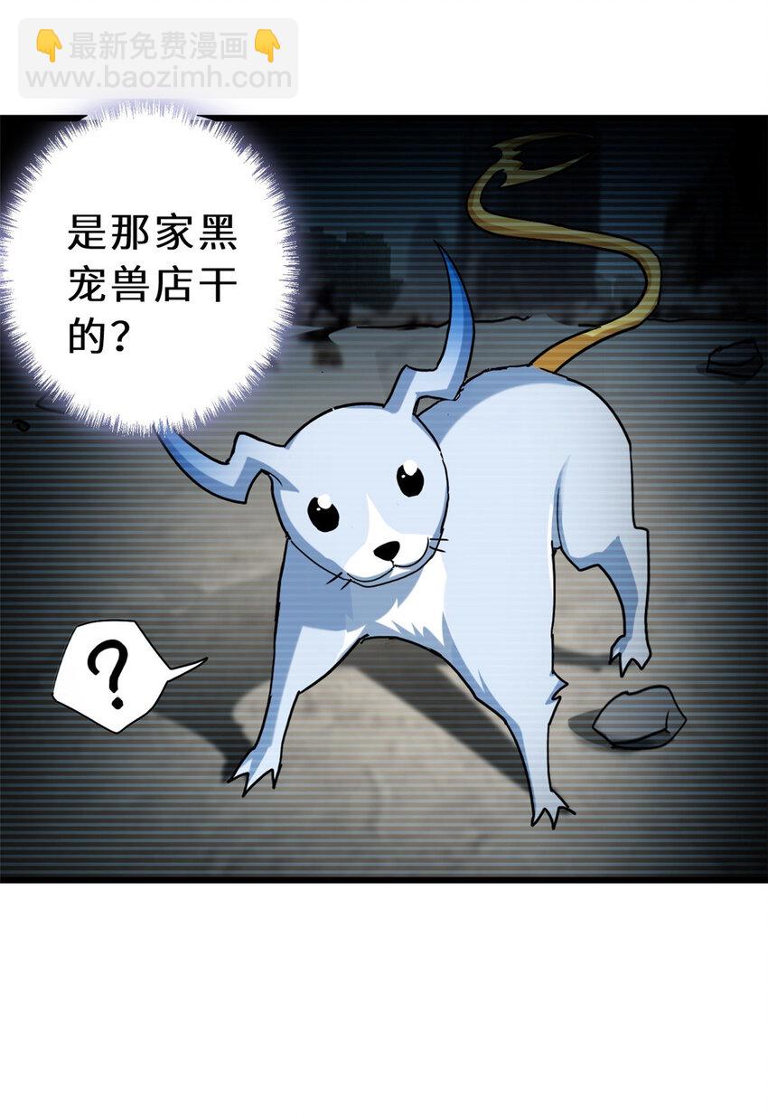 超神寵獸店 - 06 不科學的雷光鼠！(2/2) - 2