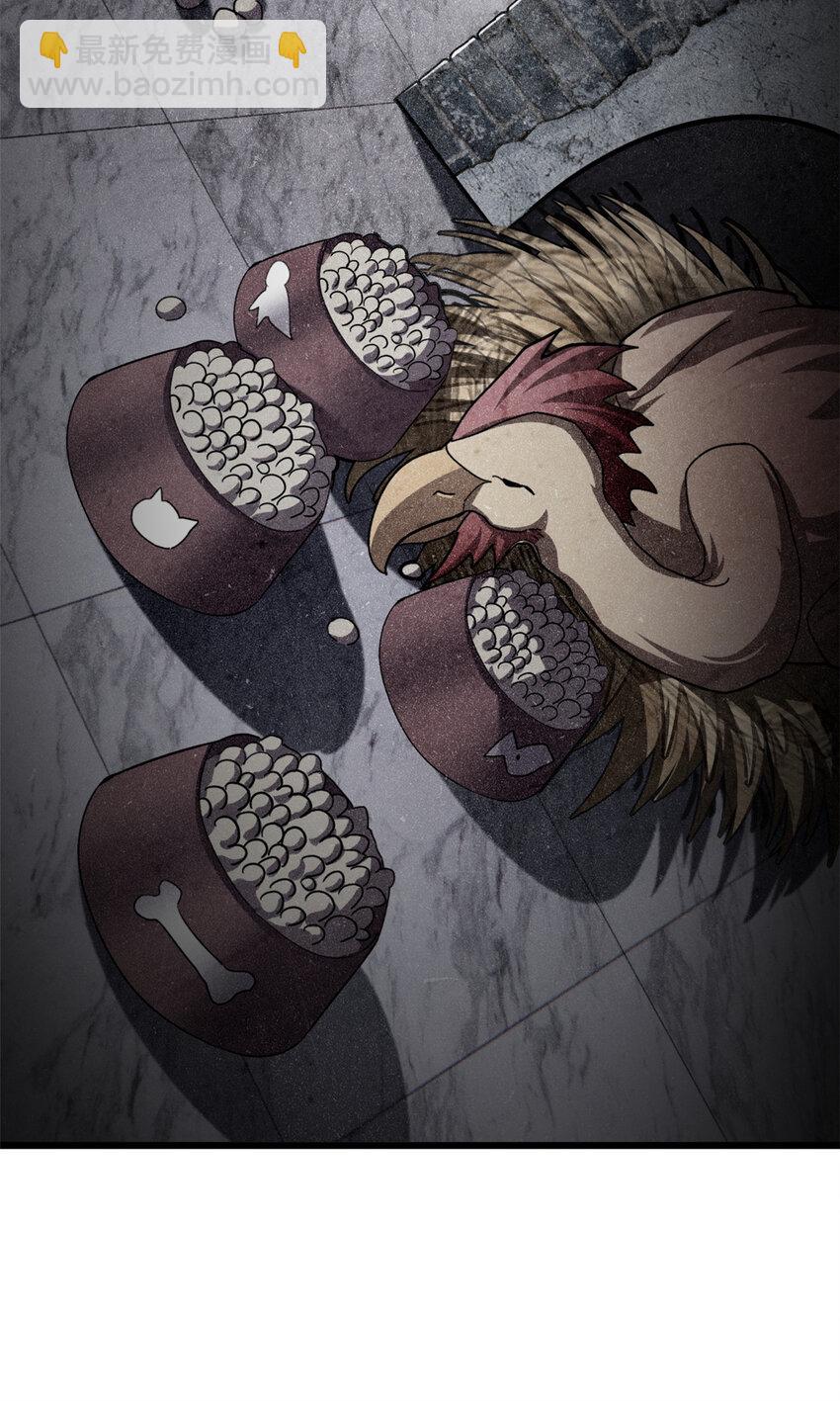 超神寵獸店 - 08 小淘氣寵獸店(1/2) - 2