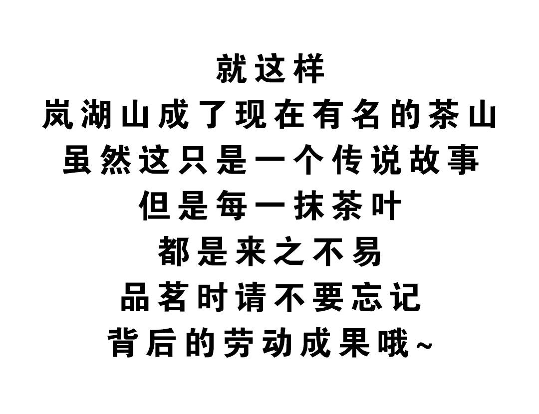 岚湖山茶传说-第22话